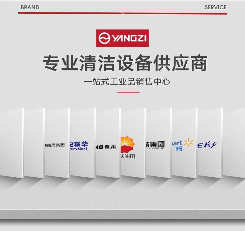 揚(yáng)子升降平臺YZ-DS2 升降機(jī)(圖3)